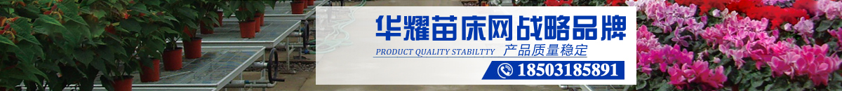 苗床網